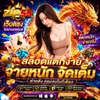 สล็อตทุกค่าย รวมค่ายเกมดัง PG Soft, JILI, Joker, Pragmatic Play และค่ายสล็อตชั้นนำ